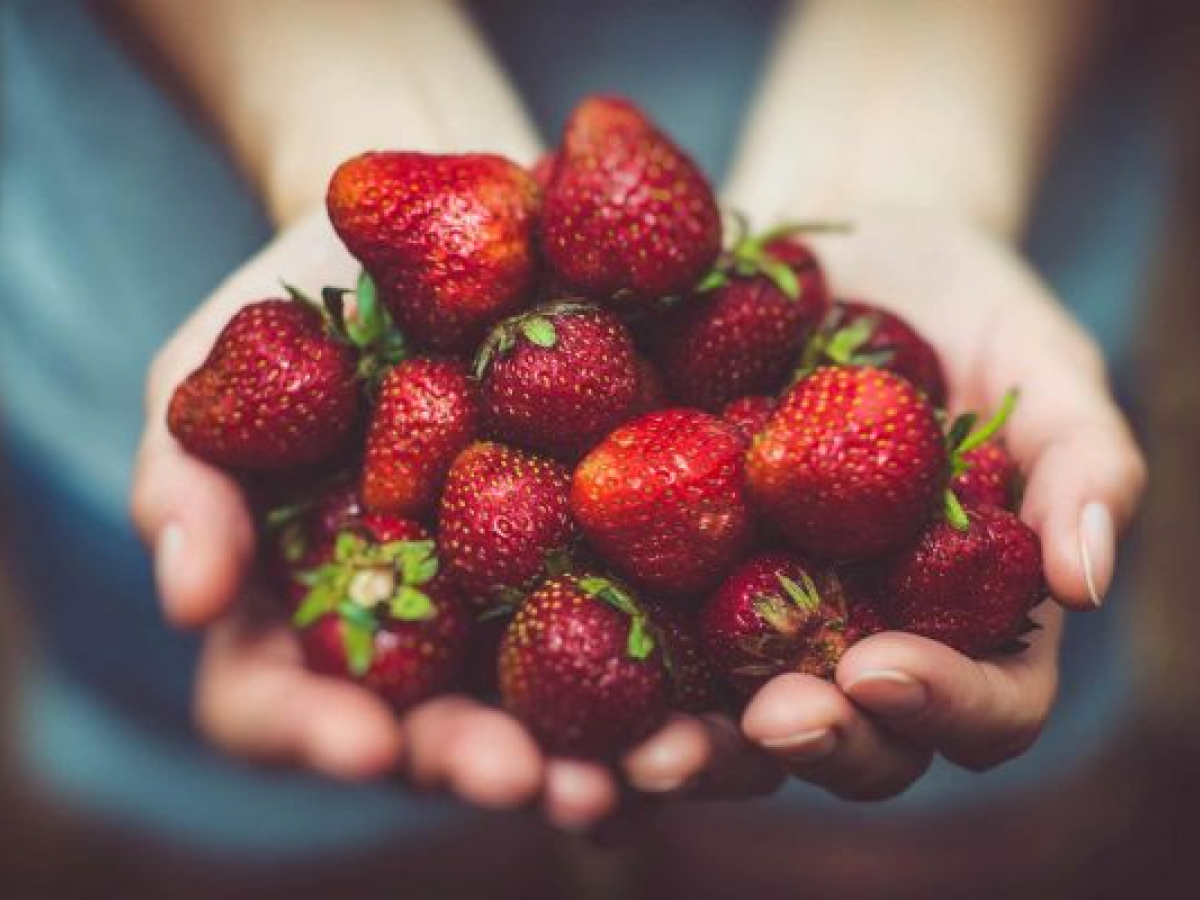 INGENHOF ERDBEEREN (SAISONAL) 